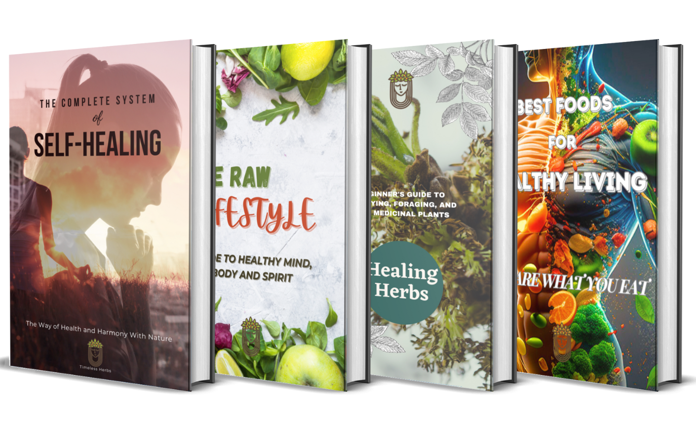 Healthy BUNDLE - Instant Download